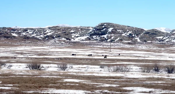 Snow Spring Steppe Hills — Stock Photo, Image