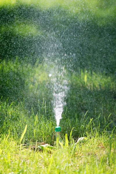 Système Irrigation Arrosage Herbe Verte — Photo