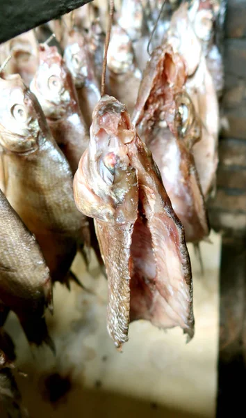 Räucherfisch Wird Getrocknet — Stockfoto