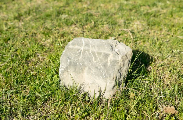 緑の芝生の上の小さな石 — ストック写真