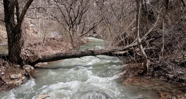 Rzeki Górach Wczesną Wiosną — Zdjęcie stockowe