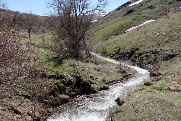 Nehir dağlarda, erken bahar