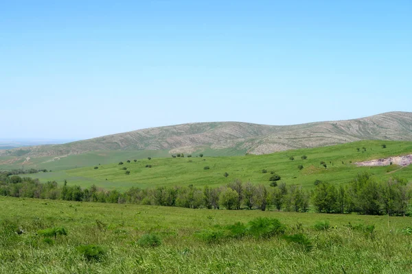 Grüne Hügel Frühling Hügel — Stockfoto