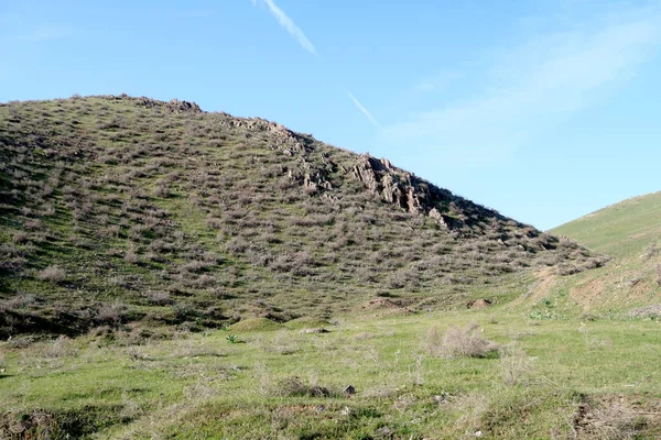 Collines Des Steppes Vertes Fond Naturel — Photo