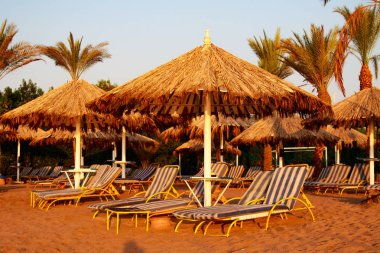Mısır, Sharm El Sheikh -20 Temmuz 2018: plaj tatil, Bay Na'ama Bai, kumlu plaj denizin insanlar ölüyor. Red Sea'deki/daki Sina Yarımadası.