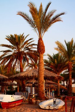 Mısır, Sharm El Sheikh -20 Temmuz 2018: plaj tatil, Bay Na'ama Bai, kumlu plaj denizin insanlar ölüyor. Red Sea'deki/daki Sina Yarımadası.