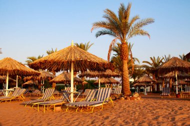 Mısır, Sharm El Sheikh -20 Temmuz 2018: plaj tatil, Bay Na'ama Bai, kumlu plaj denizin insanlar ölüyor. Red Sea'deki/daki Sina Yarımadası.