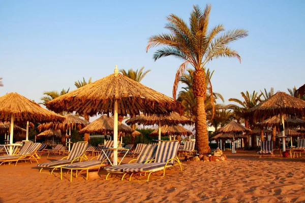 Mısır, Sharm El Sheikh -20 Temmuz 2018: plaj tatil, Bay Na'ama Bai, kumlu plaj denizin insanlar ölüyor. Red Sea'deki/daki Sina Yarımadası.