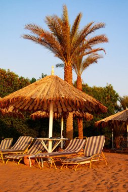 Mısır, Sharm El Sheikh -20 Temmuz 2018: plaj tatil, Bay Na'ama Bai, kumlu plaj denizin insanlar ölüyor. Red Sea'deki/daki Sina Yarımadası.