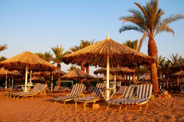 Mısır, Sharm El Sheikh -20 Temmuz 2018: plaj tatil, Bay Na'ama Bai, kumlu plaj denizin insanlar ölüyor. Red Sea'deki/daki Sina Yarımadası.