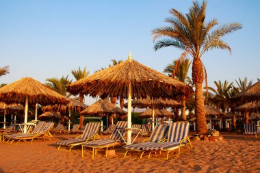 Mısır, Sharm El Sheikh -20 Temmuz 2018: plaj tatil, Bay Na'ama Bai, kumlu plaj denizin insanlar ölüyor. Red Sea'deki/daki Sina Yarımadası.