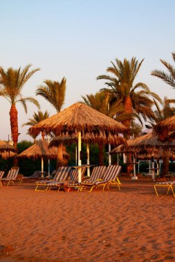 Mısır, Sharm El Sheikh -20 Temmuz 2018: plaj tatil, Bay Na'ama Bai, kumlu plaj denizin insanlar ölüyor. Red Sea'deki/daki Sina Yarımadası.