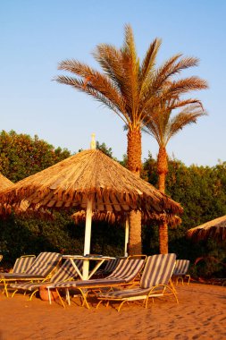 Mısır, Sharm El Sheikh -20 Temmuz 2018: plaj tatil, Bay Na'ama Bai, kumlu plaj denizin insanlar ölüyor. Red Sea'deki/daki Sina Yarımadası.