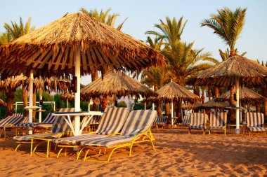Mısır, Sharm El Sheikh -20 Temmuz 2018: plaj tatil, Bay Na'ama Bai, kumlu plaj denizin insanlar ölüyor. Red Sea'deki/daki Sina Yarımadası.