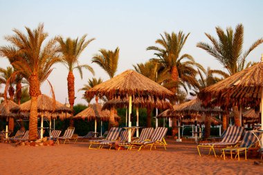 Mısır, Sharm El Sheikh -20 Temmuz 2018: plaj tatil, Bay Na'ama Bai, kumlu plaj denizin insanlar ölüyor. Red Sea'deki/daki Sina Yarımadası.
