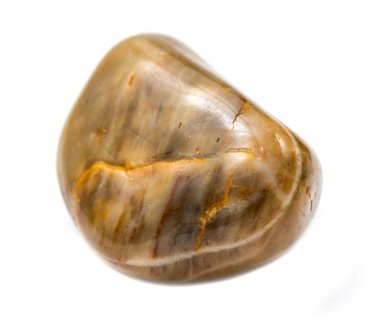 izole beyaz bir arka plan üzerinde renkli düz taş