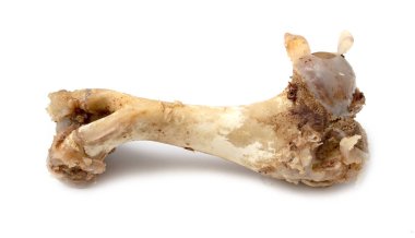 Beyaz arka plan üzerinde izole domuz eti kemik 