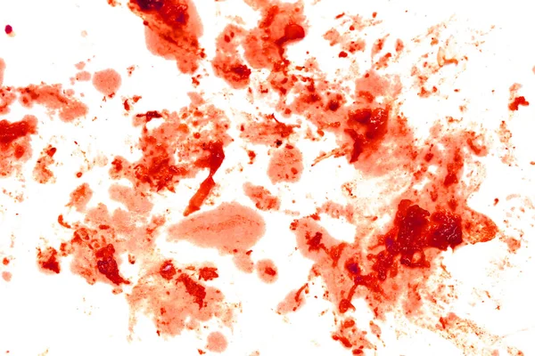 Blood Splatter Vlek Geïsoleerd Een Witte Achtergrond Voor Abstracte Lol — Stockfoto