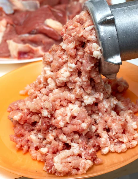 minced meat mincer plate, meat piece raw