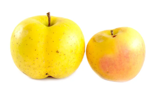 成熟的苹果在白色背景查出 — 图库照片