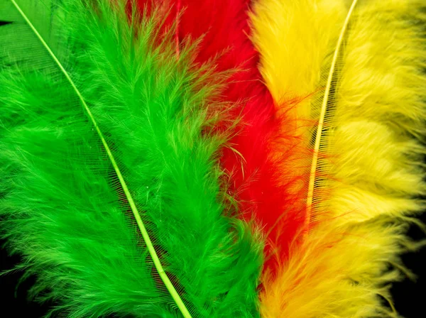 Яркие Цветные Перья Крупным Планом Качестве Фона — стоковое фото