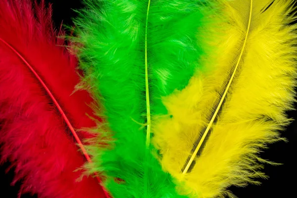 Plumes Couleur Vive Gros Plan Comme Fond — Photo