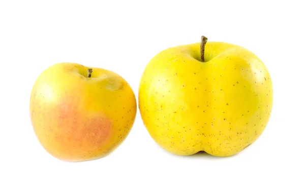 Moget Äpple Vit Bakgrund Isolerade — Stockfoto