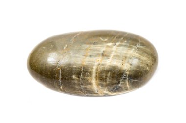 izole beyaz bir arka plan üzerinde renkli düz taş