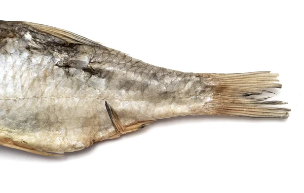 Trockener Gesalzener Fisch Vobla Isoliert Auf Weißem Hintergrund Futter Für — Stockfoto
