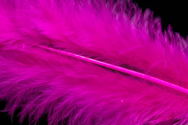 明亮的彩色羽毛特写作为背景 — 图库照片