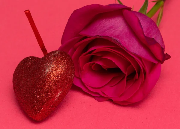 Квітка Троянди Червоні Серця Рожевий Фон Червоне Серце Тлі Рожевий — стокове фото