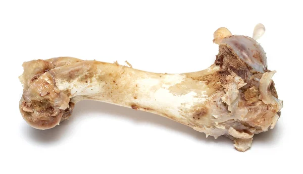 Zestaw Kości Wieprzowe Białym Tle — Zdjęcie stockowe