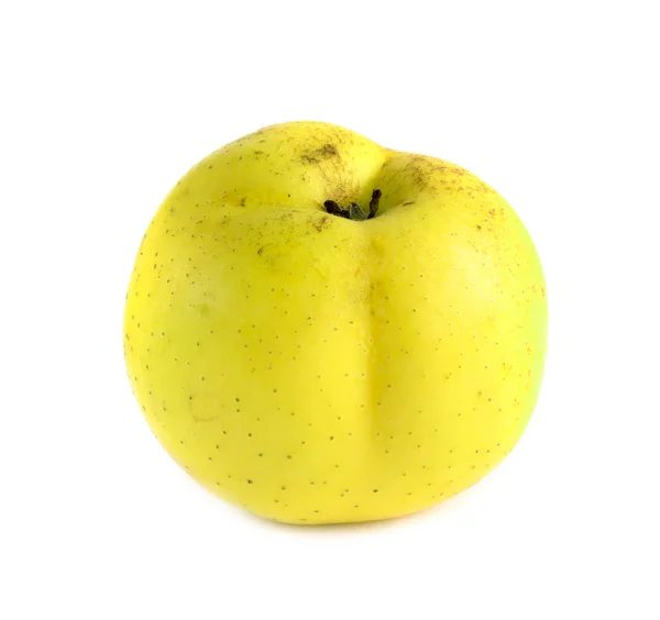 成熟的苹果在白色背景查出 — 图库照片