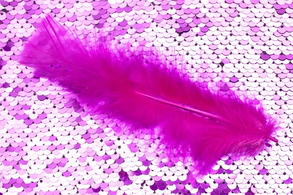 bright colored feathers close-up as a background