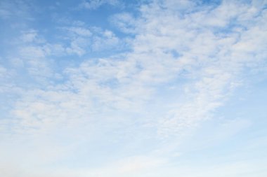 Mavi gökyüzünde sirus bulutları.