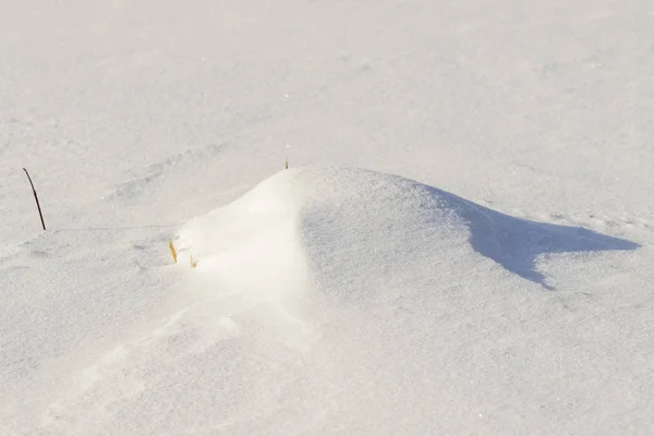 Neve Paisagem Inverno Nevar Como Fundo — Fotografia de Stock