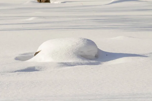 Besneeuwde Landschap Winter Sneeuwt Als Achtergrond — Stockfoto