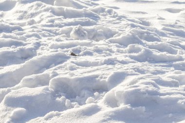 arka plan olarak kar yağışı karlı manzara kış