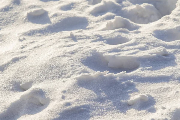 Snöiga Landskap Vintern Snöar Som Bakgrund — Stockfoto