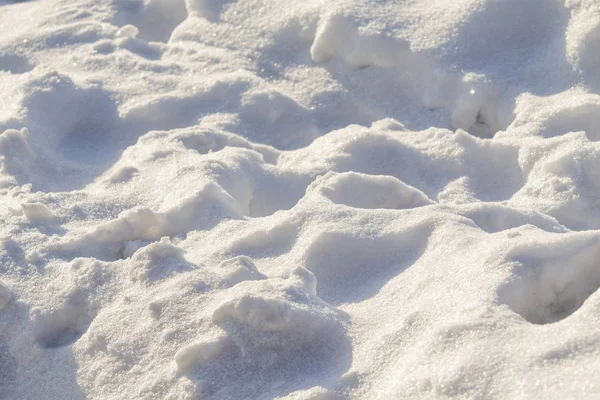 Snöiga Landskap Vintern Snöar Som Bakgrund — Stockfoto