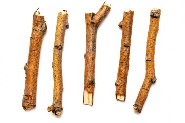 Beyaz arka planda yalıtılmış kuru dalları makro ağaçları. Bir dizi snags.