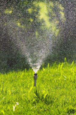 Sulama sistemi bokeh arka plan ile yeşil çim sulama.