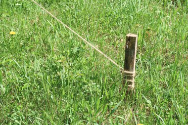 Yeşil çim bir halat ile zemin ahşap kazık.