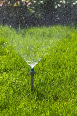 Sulama sistemi bokeh arka plan ile yeşil çim sulama.