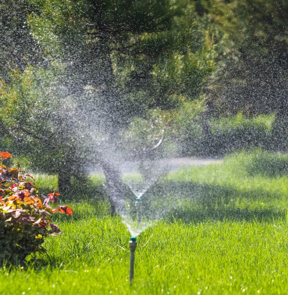 Bevattnings System Vattning Det Gröna Gräset Med Bokeh Bakgrund — Stockfoto