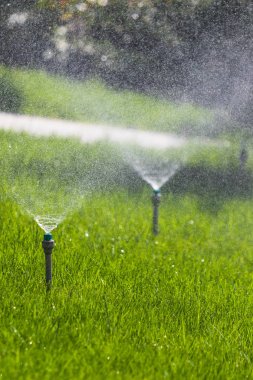 Sulama sistemi bokeh arka plan ile yeşil çim sulama.