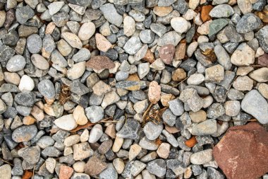 Yuvarlak deniz çakıl arka plan.