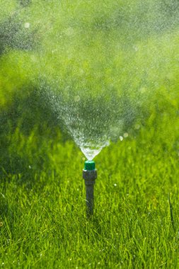 Sulama sistemi bokeh arka plan ile yeşil çim sulama.