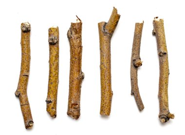 Beyaz arka planda yalıtılmış kuru dalları makro ağaçları. Bir dizi snags.