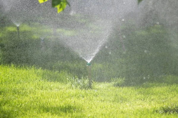 Bevattnings System Vattning Det Gröna Gräset Med Bokeh Bakgrund — Stockfoto